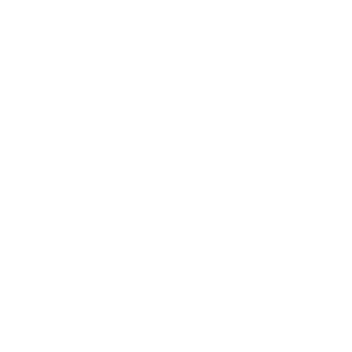 Shopify logo