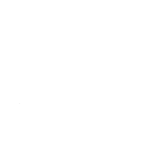 Magento logo
