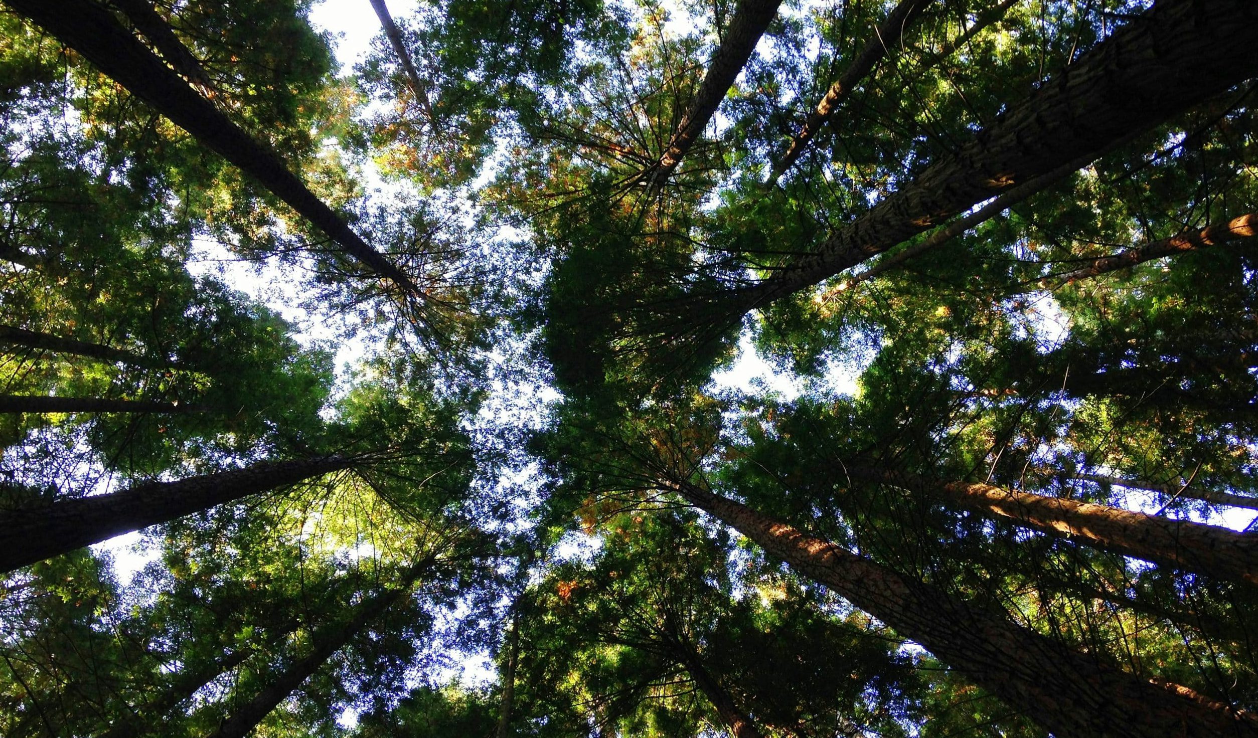 The Environmental Benefits of Route Optimisation